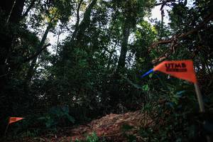 BIB: 
                            <button type="button" onclick="openModal(22614962)" class="btn btn-primary btn-sm float-right btn-popup" data-toggle="modal" data-target=".modal-high-quality">
                        <i class="fas fa-shopping-cart"></i> Add to Cart
                    </button>
                                            <button type="button" onclick="isThisMe(22614962, true)" class="btn btn-success btn-sm float-right btn-popup btn-isme hidden" data-toggle="tooltip" data-placement="bottom" title="นี่คือรูปของคุณใช่ไหม คลิกที่นี่เพื่อเอาเข้าอัลบั้ม">
                        <i class="fas fa-plus"></i> Add to album
                    </button>
                    <button type="button" onclick="isThisMe(22614962, false)" class="btn btn-warning btn-sm float-right btn-popup btn-isnotme hidden">
                        <i class="fas fa-ban"></i> Remove from album
                    </button>